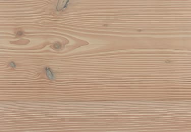 River Douglas Fir